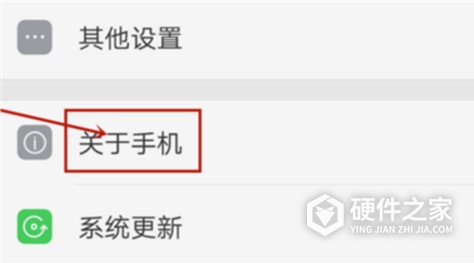 oppoa55开发者选项在哪