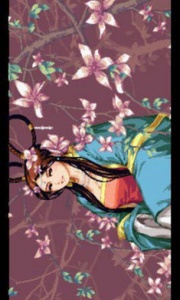 三国战纪2诸葛亮版