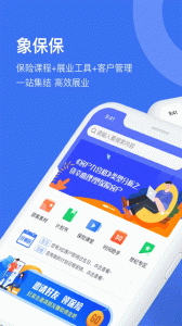 象保保