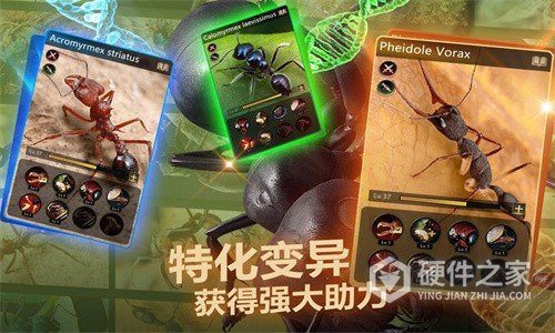 小小蚁国手机版