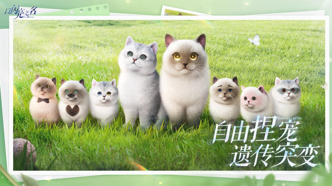 以闪亮之名手游