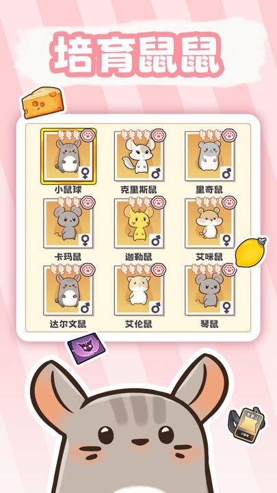 社会我猫哥安卓版