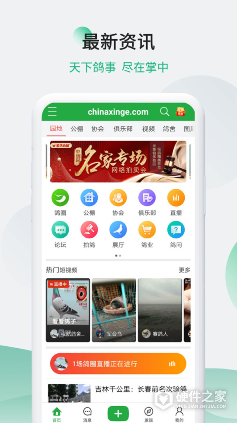 中国信鸽信息网app