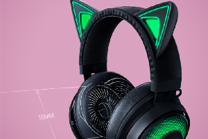 雷蛇北海巨妖萌猫版吃鸡设置