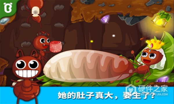 宝宝认蚂蚁手机版