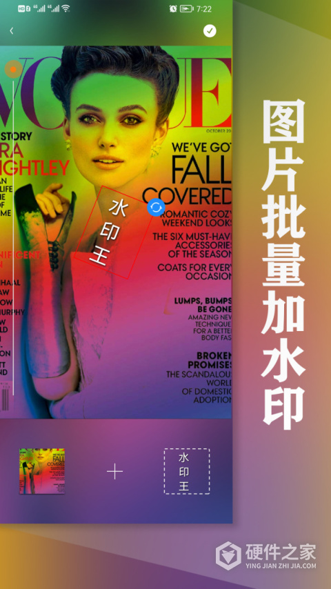 水印王app