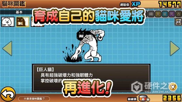 猫咪大陆官方版