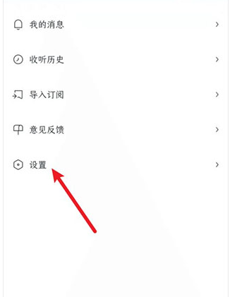 皮艇最新版