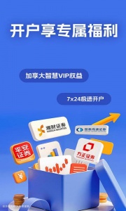 大智慧