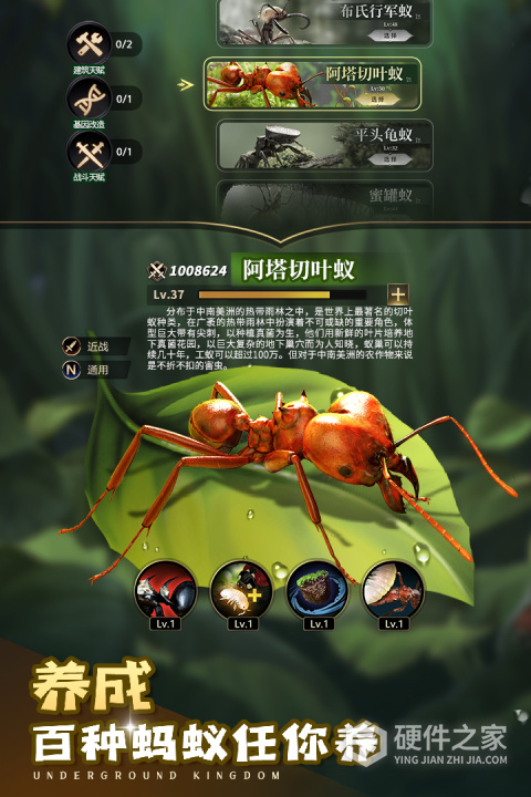 小小蚁国最新版
