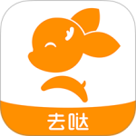 去上网