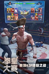 拳魂觉醒腾讯版