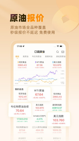 口袋原油