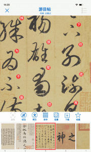 以观书法