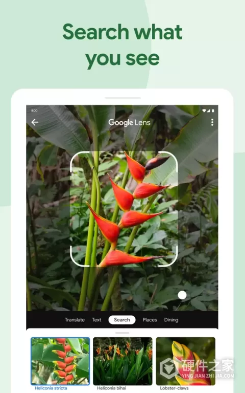 Google Photos app