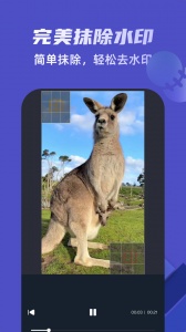 去水印视频剪辑