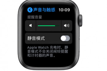 苹果手表怎么调音量