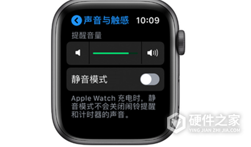 苹果手表怎么调音量