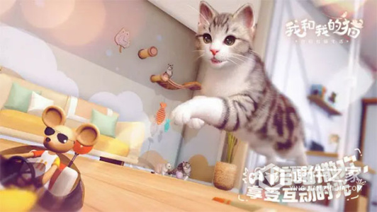 我和我的猫