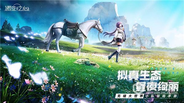 诺亚之心台服