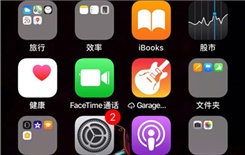 ios软件无法验证应用怎么办