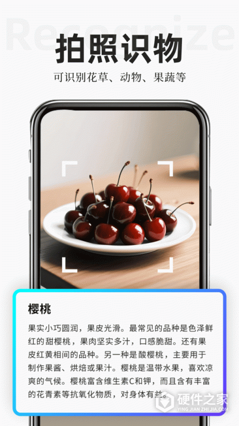 扫描专家app