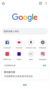 Google Chorm浏览器最新版