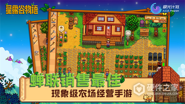 星露谷物语枫姨美化版无限金币