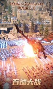 阿瓦隆之王新服