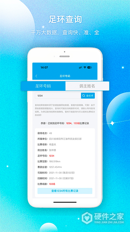 中鸽网