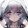 灵魂潮汐应用宝版