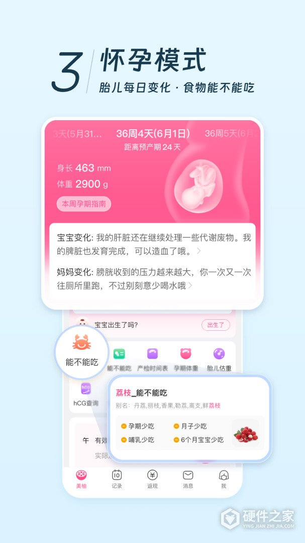 美柚