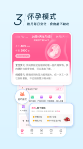 美柚