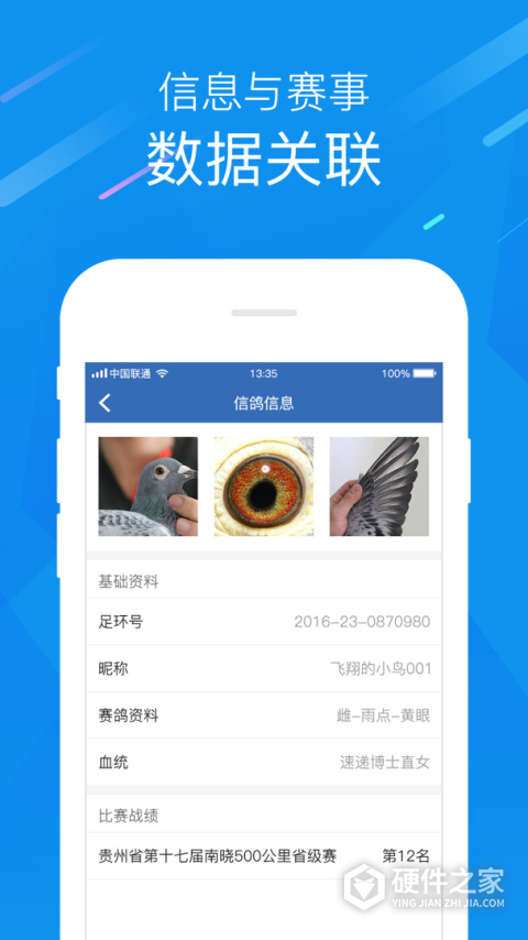 中国信鸽协会
