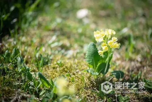 深度相册恢复怎么弄