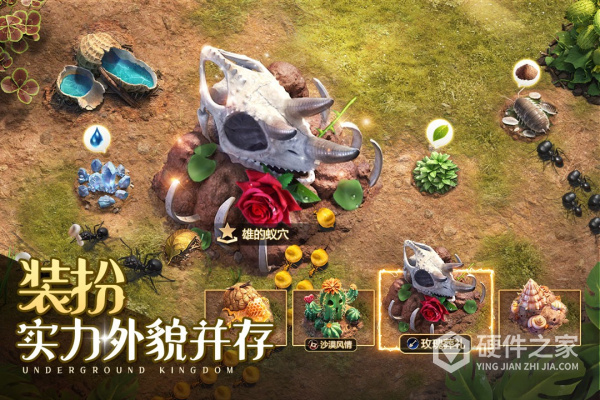 小小蚁国2023最新版