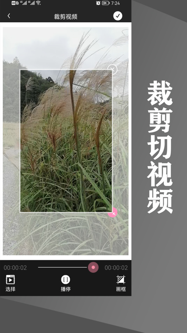 水印王app