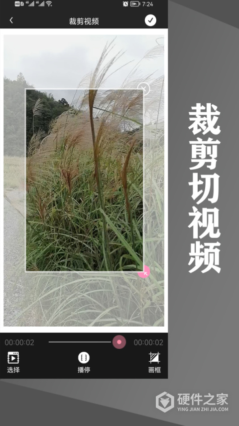 水印王app