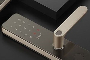 小米智能门锁e和标准版的区别