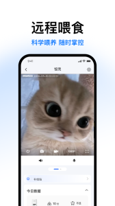 Catlink