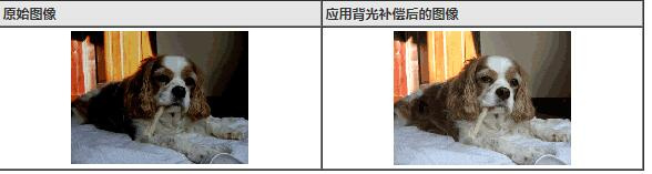 爱普生v600扫描仪说明书