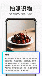 扫描专家
