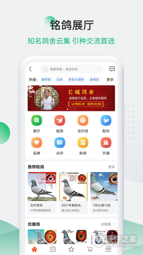 中国信鸽信息网app