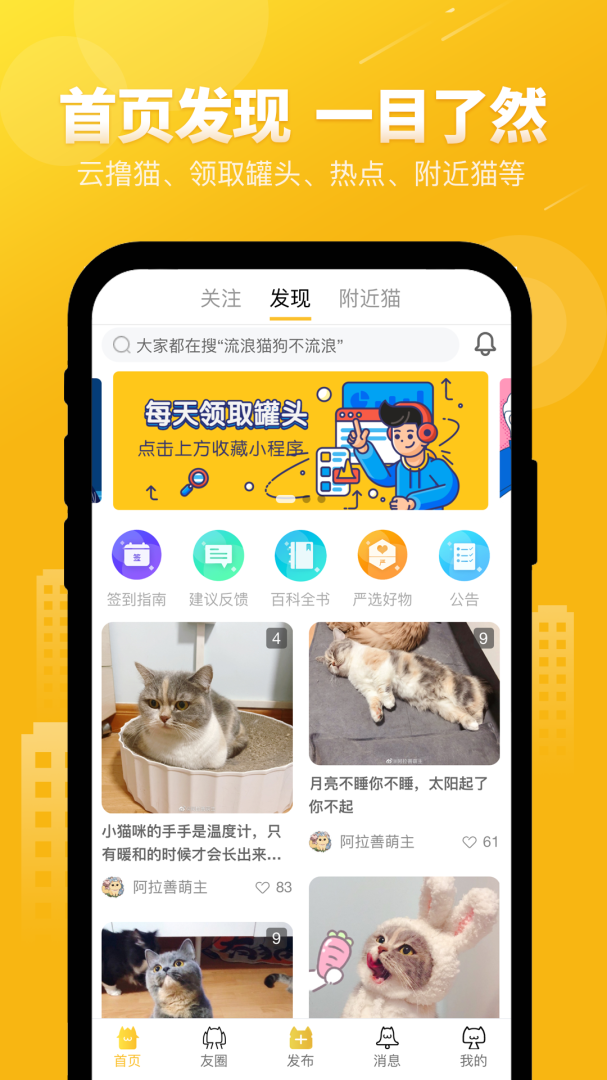 友猫（宠物猫社交）