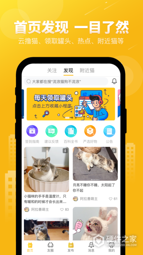 友猫（宠物猫社交）