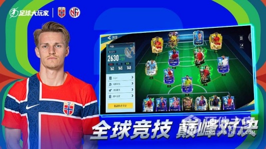 足球大玩家
