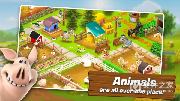 Hay Day