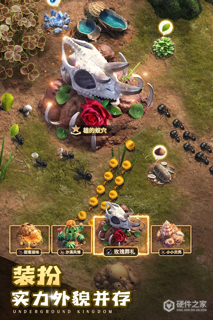 小小蚁国最新版