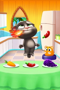 我的汤姆猫2999999金币钻石版