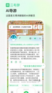 三毛游